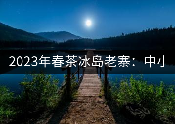 2023年春茶冰島老寨：中小樹混采2500-3000元／公斤，大樹：7000-8000元／公斤，古樹混采：28000-36000元／公斤