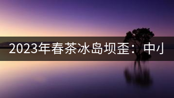 2023年春茶冰島壩歪：中小樹800元／公斤，古樹1400-1600元／公斤