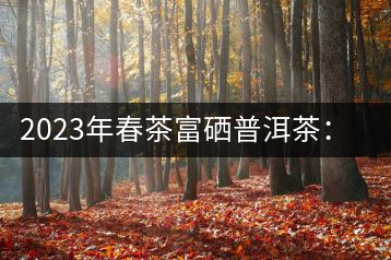2023年春茶富硒普洱茶：1.富硒有機手工生普，市場指導價800元／公斤；2.富硒有機一級紅茶，市場指導價800元／公斤；3.富硒有機熟普餅，市場指導價1000元／公斤；4.富硒有機月光白茶，市場指導價800元／公斤。