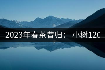 2023年春茶昔歸： 小樹1200-1600元／公斤，大樹4500-5200元／公斤，古樹7500-9000元／公斤.