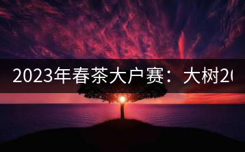 2023年春茶大戶賽：大樹(shù)200-300元／公斤，古樹(shù)800-1000元／公斤