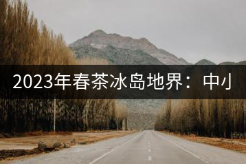 2023年春茶冰島地界：中小樹1300-1500元／公斤，古樹2200~2500元／公斤