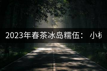 2023年春茶冰島糯伍： 小樹1300元／公斤，古樹：2100~2300元／公斤