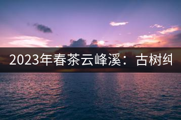 2023年春茶云峰溪：古樹純料：1200-1500元／公斤，古樹混采800-1000元／公斤，大樹500-800元／公斤，小樹300-500元／公斤