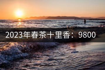 2023年春茶十里香：9800-12000元／公斤，十里香紅茶：9800-12000元／公斤