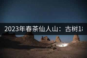 2023年春茶仙人山：古樹1800-2500元／公斤，老曼峨：小樹：600元／公斤 1600-1800元／公斤
