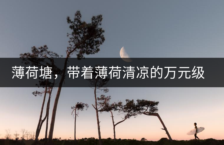 薄荷塘，帶著薄荷清涼的萬(wàn)元級(jí)普洱