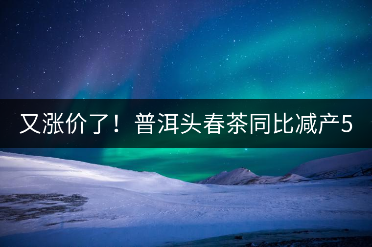 又漲價了！普洱頭春茶同比減產50%，薄荷塘一類鮮葉需當面議價
