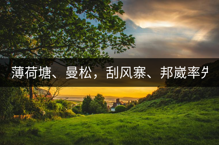 薄荷塘、曼松，刮風寨、邦崴率先開采，2019普洱春季大戰(zhàn)開始了