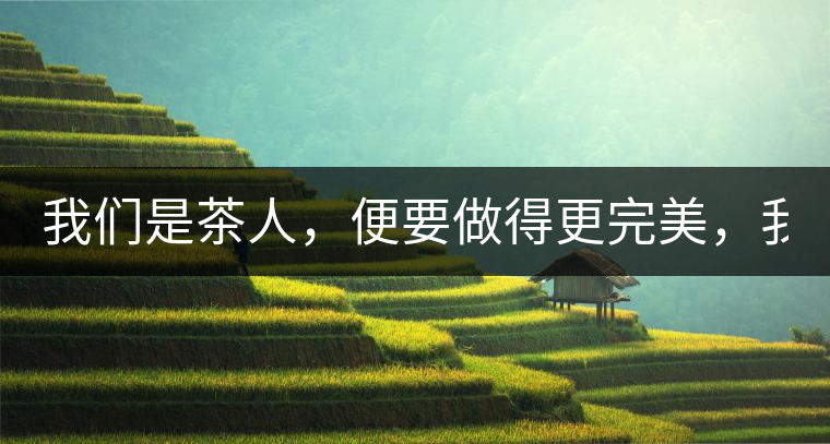 我們是茶人，便要做得更完美，我們是茶客，便要懂得沉默...我們是茶人，便要做得更完美，我們是茶客，便要懂得沉默！