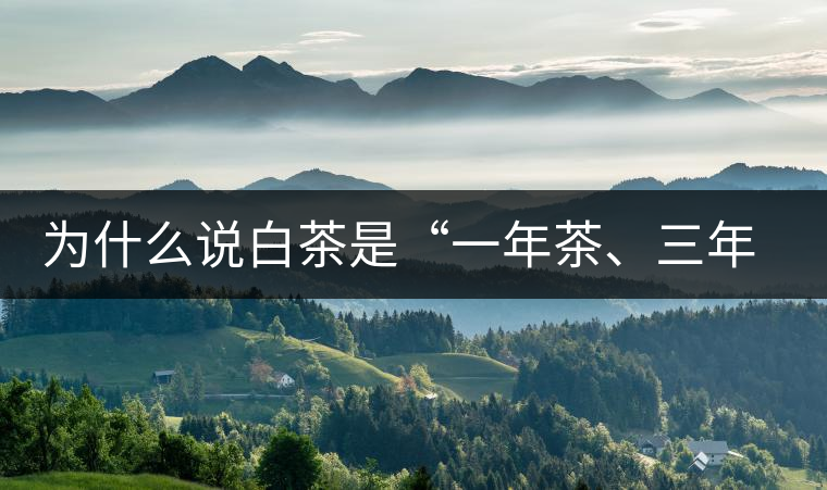 為什么說(shuō)白茶是“一年茶、三年藥、七年寶”?為什么說(shuō)白茶是“一年茶、三年藥、七年寶”？