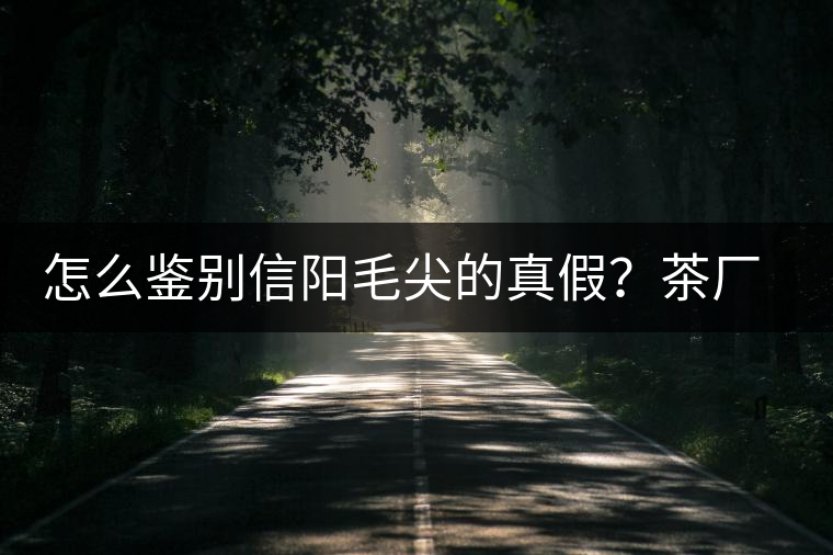 怎么鑒別信陽毛尖的真假?茶廠小姐姐親自告訴你茶葉的等級 怎么鑒別信陽毛尖的真假?茶廠小姐姐親自告訴你茶葉的等級