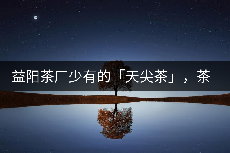 益陽茶廠少有的「天尖茶」，茶品升級(jí)，收藏趁早！