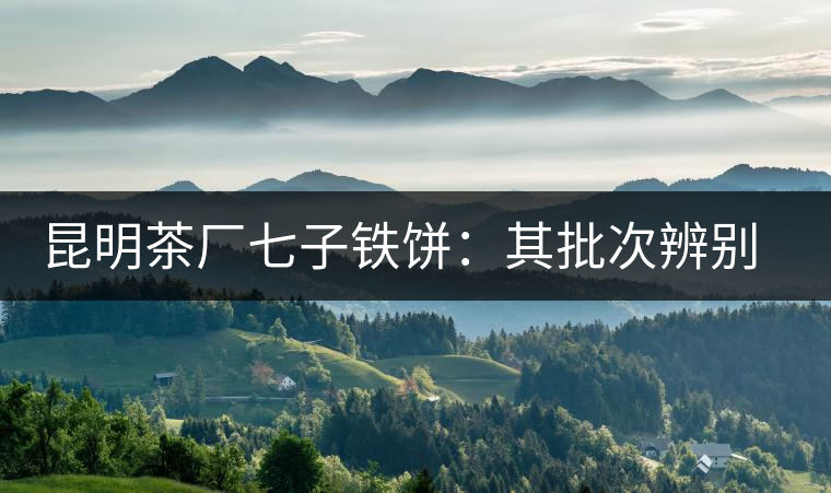 昆明茶廠七子鐵餅：其批次辨別、配方、年份大盤點！