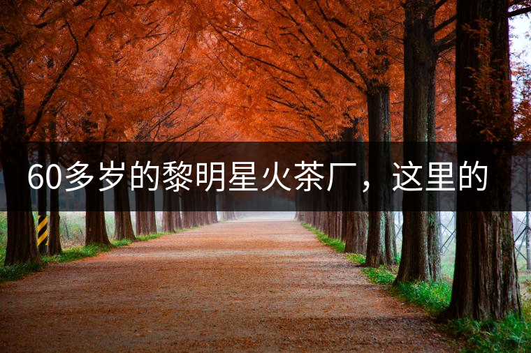 60多歲的黎明星火茶廠，這里的人依然在做茶