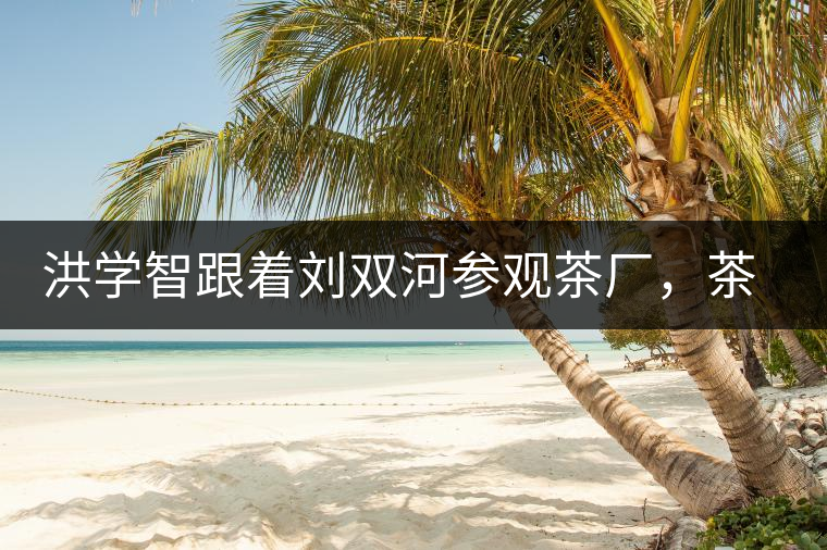 洪學(xué)智跟著劉雙河參觀茶廠，茶廠黃老板對賣苦力的百姓百般欺凌