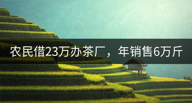 農(nóng)民借23萬辦茶廠，年銷售6萬斤，每天休息僅20分鐘!農(nóng)民借23萬辦茶廠，年銷售6萬斤，每天休息僅20分鐘！