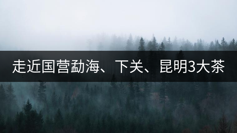 走近國營勐海、下關(guān)、昆明3大茶廠，傳世代表作的發(fā)展詳...走近國營勐海、下關(guān)、昆明3大茶廠，傳世代表作的發(fā)展詳解