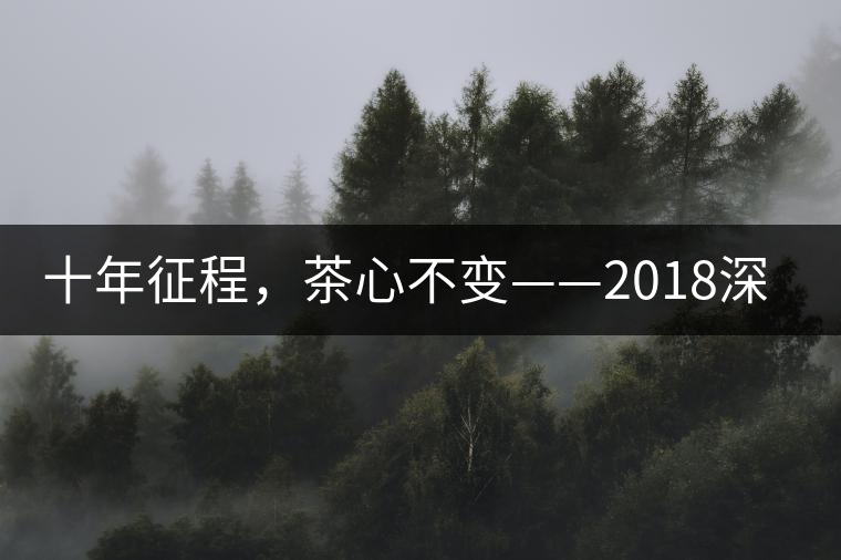 十年征程，茶心不變——2018深圳秋季茶博會12月13日隆重開幕！