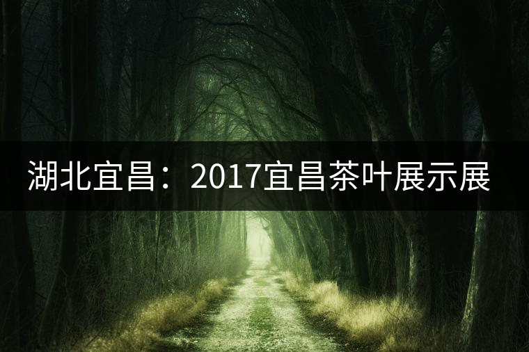 湖北宜昌：2017宜昌茶葉展示展銷會 茶香醉人