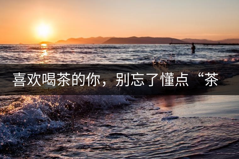 喜歡喝茶的你，別忘了懂點“茶歷史”喜歡喝茶的你，別忘了懂點“茶歷史”