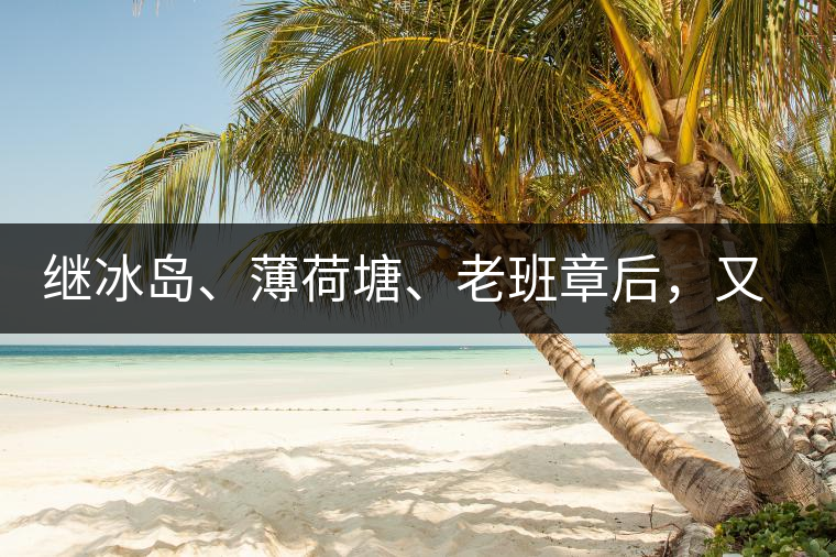 繼冰島、薄荷塘、老班章后，又一個(gè)被追捧的山頭茶火了！