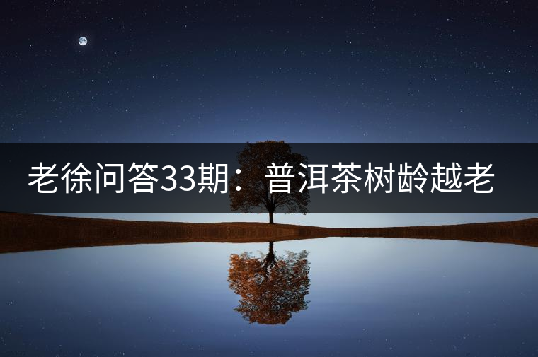 老徐問答33期：普洱茶樹齡越老越貴，那100年樹齡的老班章呢？