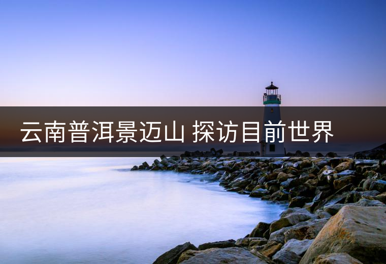 云南普洱景邁山 探訪目前世界上面積最大、年代最久遠(yuǎn)的古茶園