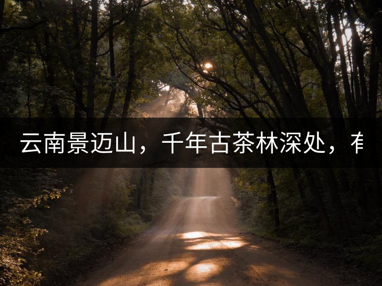 云南景邁山，千年古茶林深處，有一座世外桃源般的糯...云南景邁山，千年古茶林深處，有一座世外桃源般的糯干古寨