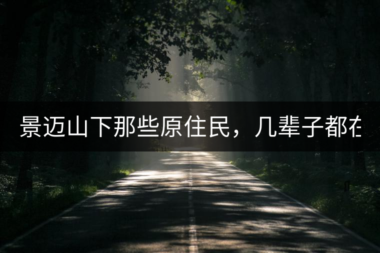 景邁山下那些原住民，幾輩子都在采茶、制茶，才有最...景邁山下那些原住民，幾輩子都在采茶、制茶，才有最好喝的普洱