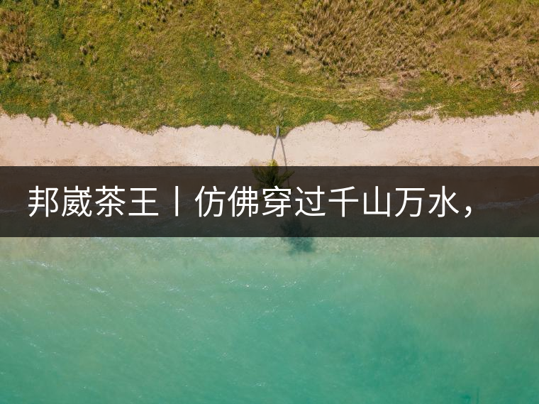 邦崴茶王丨仿佛穿過(guò)千山萬(wàn)水，就是為了它而來(lái)邦崴茶王丨仿佛穿過(guò)千山萬(wàn)水，就是為了它而來(lái)