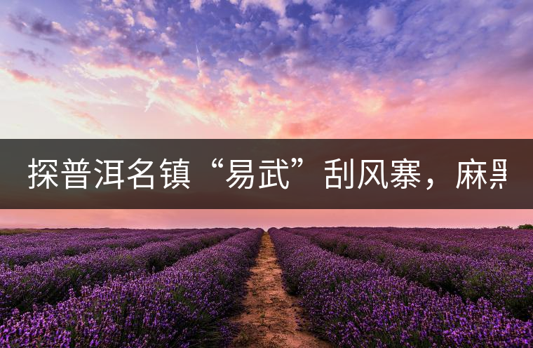 探普洱名鎮(zhèn)“易武”刮風寨，麻黑，落水洞!小編親自下...探普洱名鎮(zhèn)“易武”刮風寨，麻黑，落水洞！小編親自下手“殺青”