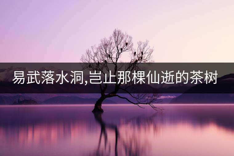 易武落水洞,豈止那棵仙逝的茶樹王?易武落水洞,豈止那棵仙逝的茶樹王？