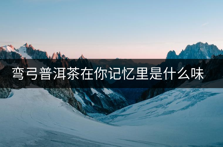 彎弓普洱茶在你記憶里是什么味道？