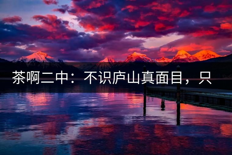 茶啊二中：不識(shí)廬山真面目，只識(shí)彎弓射大雕，賈淳真搞笑