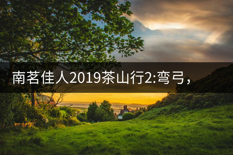 南茗佳人2019茶山行2:彎弓，一路艱辛，只為這有生命...南茗佳人2019茶山行2：彎弓，一路艱辛，只為這有生命厚度的茶！