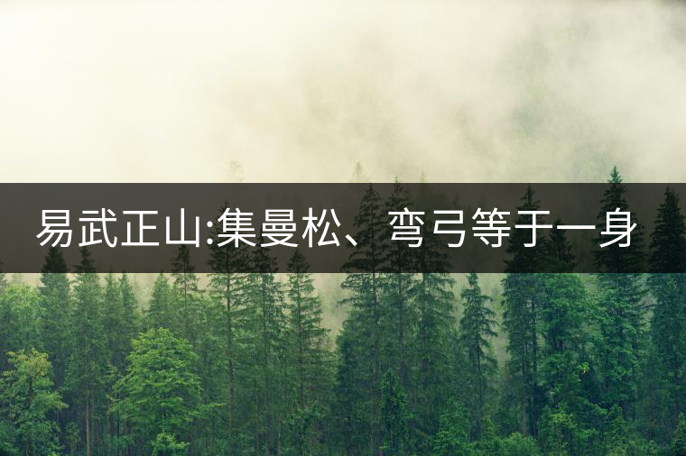 易武正山:集曼松、彎弓等于一身的貴族老黃片，好喝沒得...易武正山：集曼松、彎弓等于一身的貴族老黃片，好喝沒得說