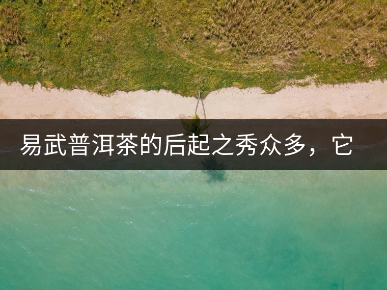 易武普洱茶的后起之秀眾多，它是還沒(méi)漲價(jià)的一個(gè)！