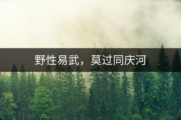 野性易武，莫過同慶河