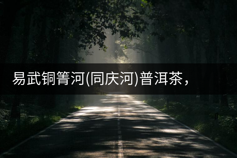 易武銅箐河(同慶河)普洱茶，讓我拜倒的不止它的口感易武銅箐河（同慶河）普洱茶，讓我拜倒的不止它的口感