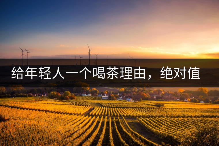 給年輕人一個喝茶理由，絕對值得收藏的茶葉包裝給年輕人一個喝茶理由，絕對值得收藏的茶葉包裝