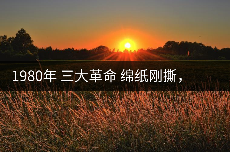 1980年 三大革命 綿紙剛撕，品相極好，整體干凈漂亮1980年 三大革命 綿紙剛撕，品相極好，整體干凈漂亮