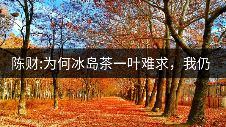 陳財(cái):為何冰島茶一葉難求，我仍然堅(jiān)持