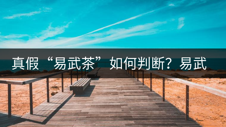 真假“易武茶”如何判斷？易武普洱茶有哪些特點(diǎn)？