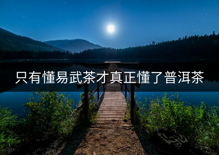 只有懂易武茶才真正懂了普洱茶 只有懂易武茶才真正懂了普洱茶