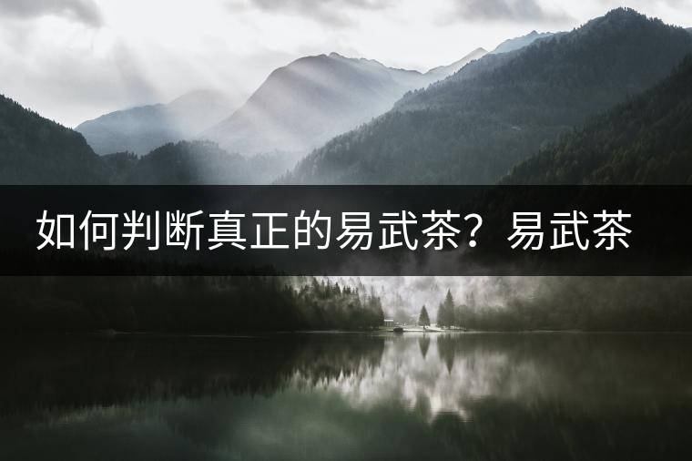 如何判斷真正的易武茶？易武茶有哪些特點(diǎn)？