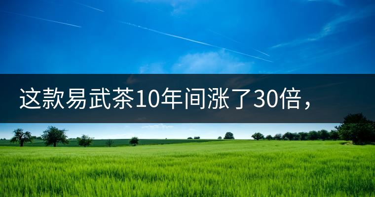這款易武茶10年間漲了30倍，但已芳蹤罕見(jiàn)