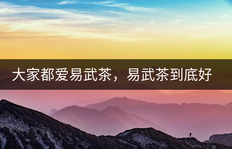 大家都愛易武茶，易武茶到底好在哪兒?大家都愛易武茶，易武茶到底好在哪兒？