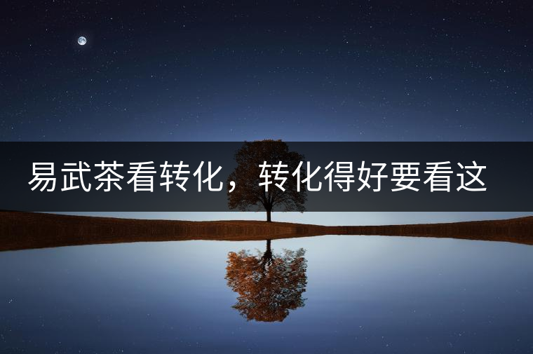 易武茶看轉(zhuǎn)化，轉(zhuǎn)化得好要看這三要素及品牌優(yōu)勢(shì)！