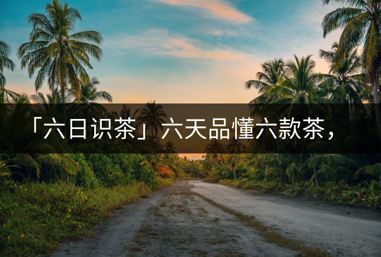 「六日識(shí)茶」六天品懂六款茶，從此愛上山頭茶